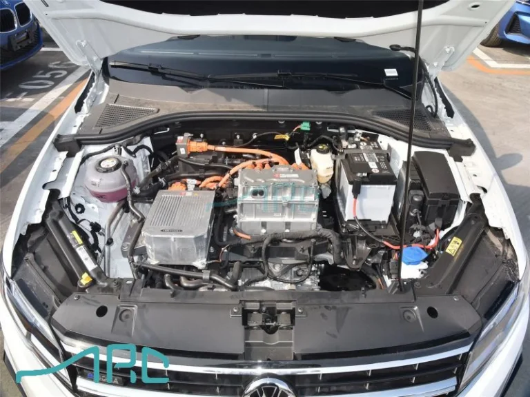 Volkswagen e-BORA 2019