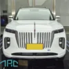 Hongqi E-Hs9 2022