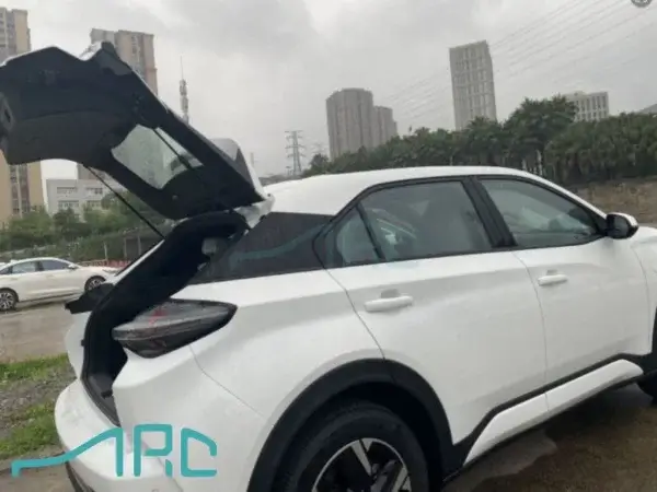 2023 NETA X 500lite