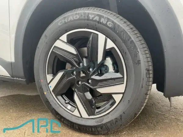2023 NETA X 500lite