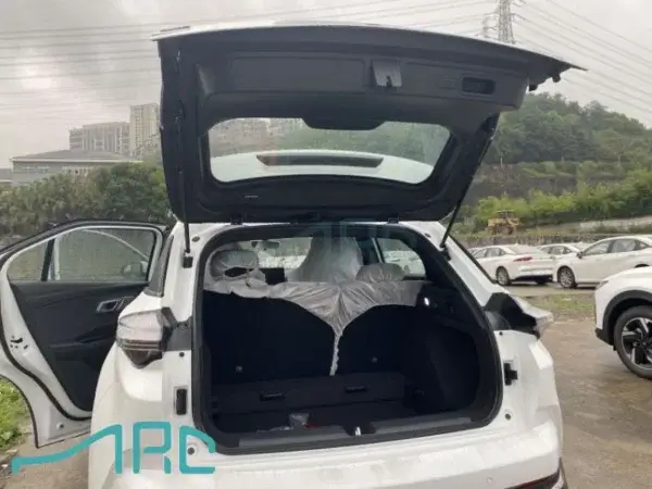 2023 NETA X 500lite