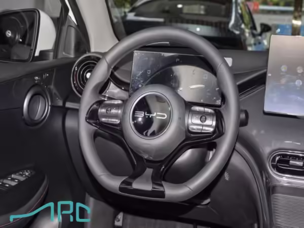 2024 BYD E2