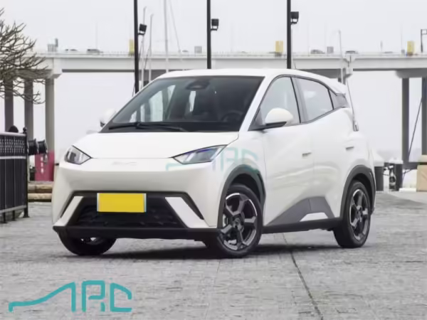2024 BYD SEAGULL
