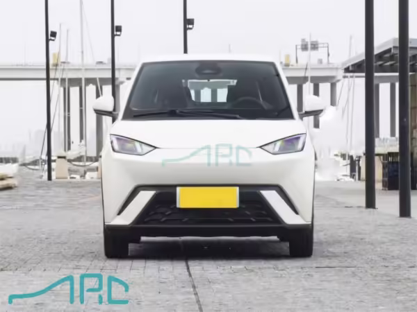 2024 BYD SEAGULL
