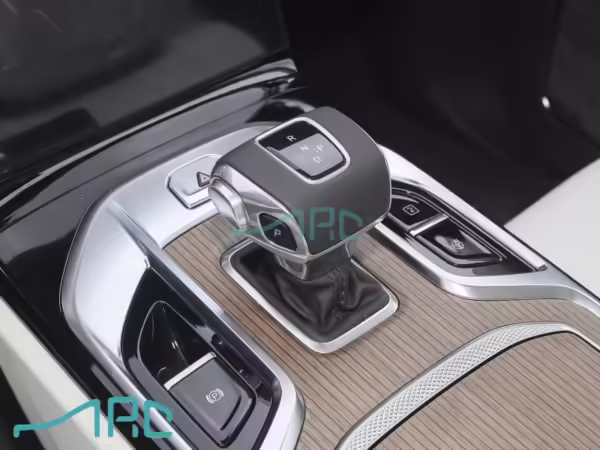 2024 Hongqi E-HS9