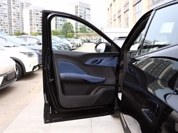 2025 byd martı