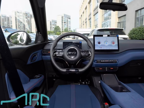 2025 byd martı