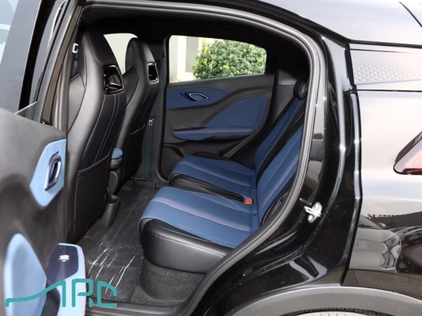 2025 byd martı