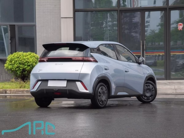 2025 byd martı