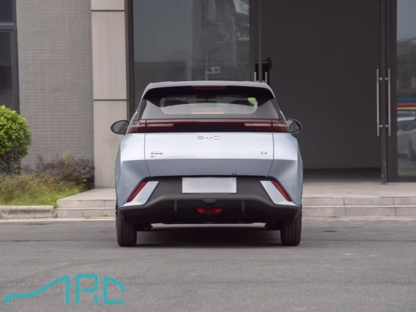 2025 byd martı